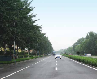 S248 鹽濟線 S316 路口至 S239 路口段中修工程 SG-1 標段